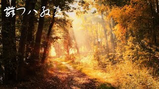 [Piano] Quon - 舞フハ紅葉