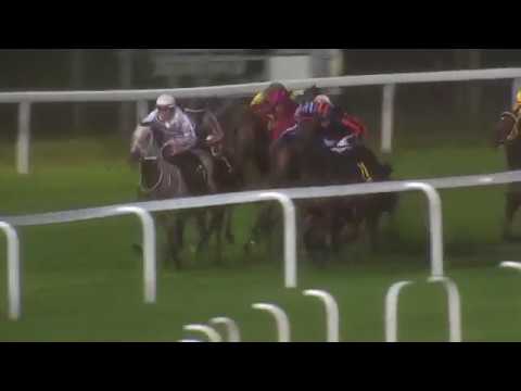 2018.09.21 Breeders' Trophy Classic (SWE) - Snake Lake