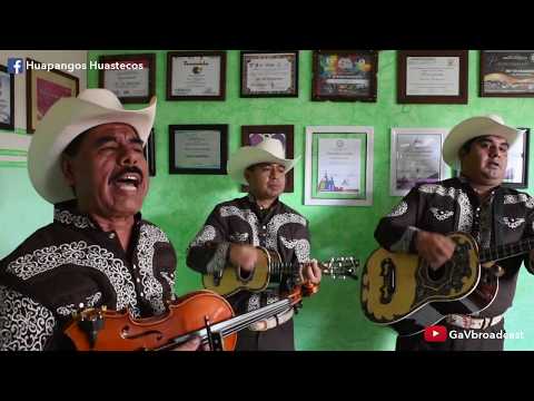 La Petenera y El Aguanieve por el Trío Los Hidalguenses de Pachuca Hidalgo