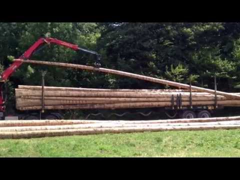 Langholzzug beim Abladen (Vorführung)