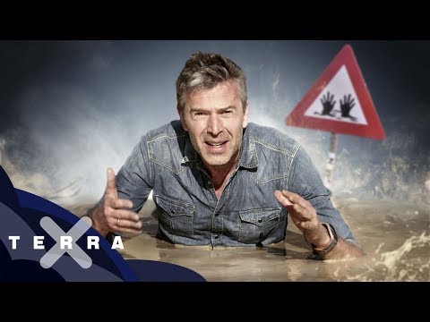 Selbstversuch im Treibsand: Kann man darin versinken? | Dirk Steffens