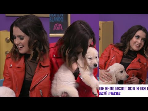 Laura Marano playing with puppies during Radio Disney's friyaylive