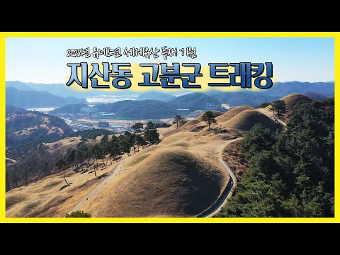 [1탄] 2022년 유네스코세계유산✨등재 기원 지산동 고분군 트래킹