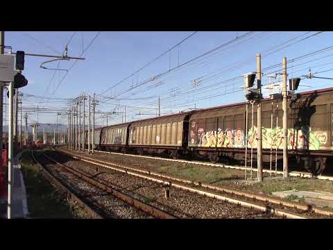 TIGRE MATTUTINA A ROSARNO PER UN MRS VERSO NORD!!!