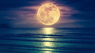 Don Omar - Infieles Bajo La Luna