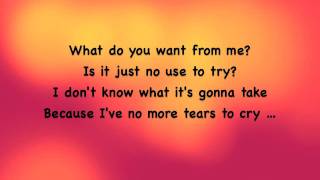 Rehab - What do you want from me lyrics