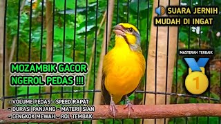 Download lagu Mozambik Gacor NGEROL Durasi Panjang - Cocok untuk Materi Isian kenari, pleci dll mp3