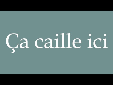 How to Pronounce ''Ça caille ici'' (It's freezing in here) Correctly in French