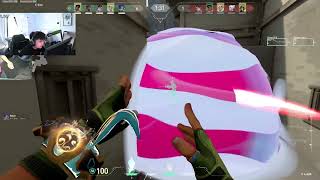 NRG s0m Harbor Haven RADIANT SMOKES