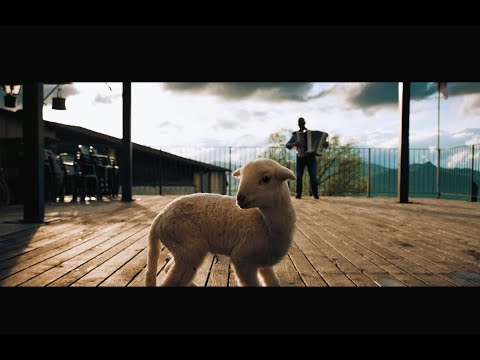 PAOLO BERTOLI - La rustica (video ufficiale)