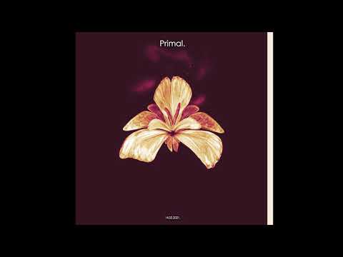 • Primal //  Laylow & Travis Scott type beat