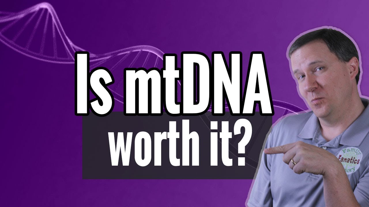 What is Mitochondrial DNA Should you take the mtDNA test