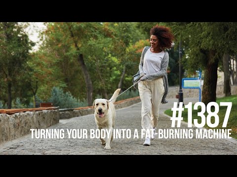 #1387: Turning Your Body Into a Fat-Burning Machine