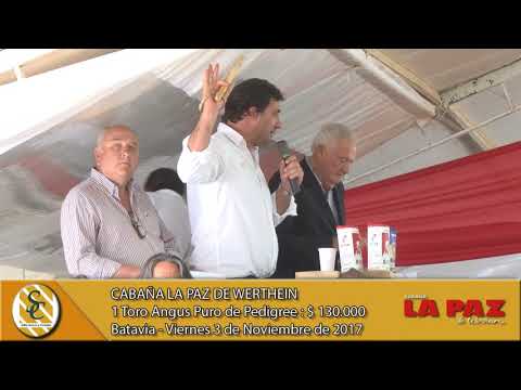 03-11-17 Venta de Toros Angus P.P. - Cabaña La Paz de Werthein - Batavia, San Luis