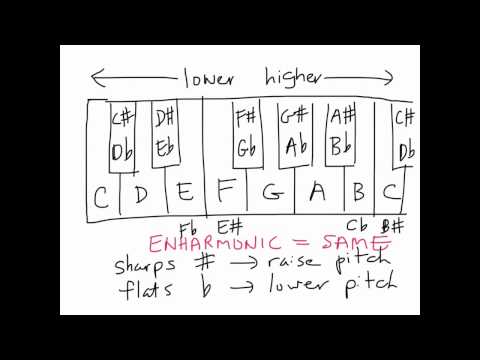 Semi-tones, Whole-tones and Accidentals 2/4