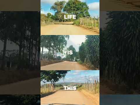 irajuba-ba