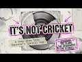 It's Not Cricket by Squeeze - a deep dive into Squeeze song meanings