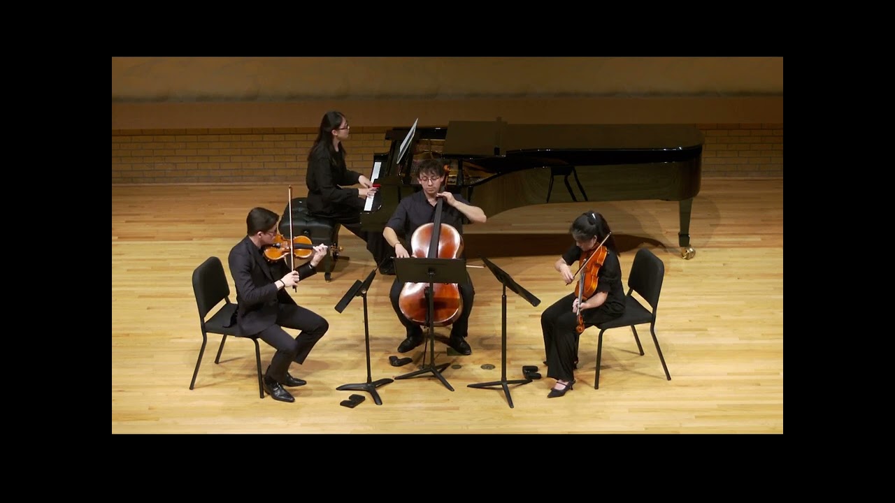 Promotional video thumbnail 2 for Collaborative and Solo cellist all genre