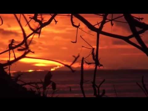 Pitstop Hill Mentawai - 2015 - Trip 3 teaser