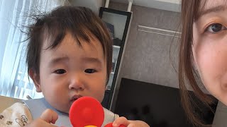 べびふ