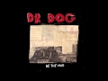 Dr. Dog - "Do The Trick" (Full Album Stream)