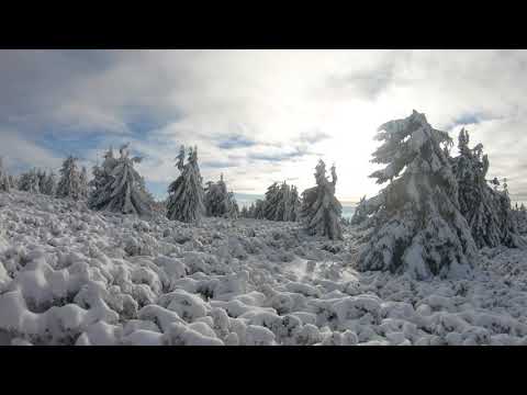 Saca Mare (Muntii Gurghiu) - Nagy Mező-havas
