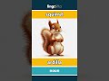 squirrel - ardilla video thumbnail