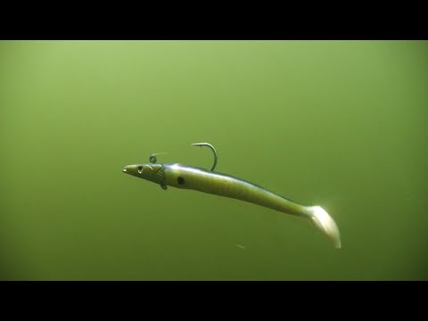 Savage Gear Sandeel on California Stripe Bass with The Informative Fisherman