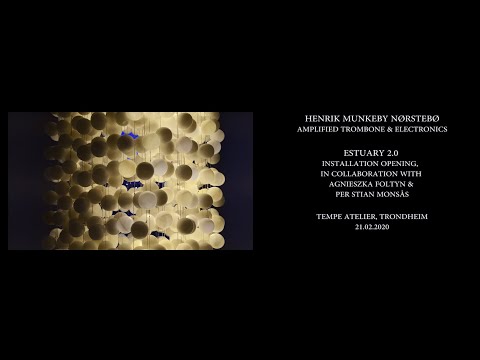 Henrik Munkeby Nørstebø / Solo, Estuary 2.0