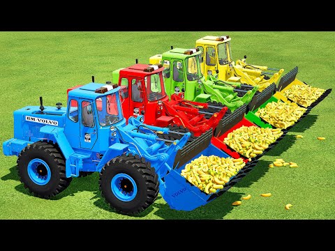 LOAD & TRANSPORT BABY BANANAS WITH COLORED RIGITRAC & VOLVO LOADERS - Farming Simulator 22