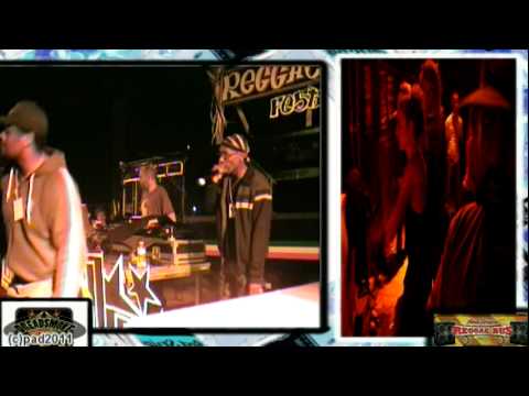 VIBRONICS ft madu & echo ranks (uk) - dub di concret jungle\ steppa vibes pt3 @ reggaebus 24-9-11