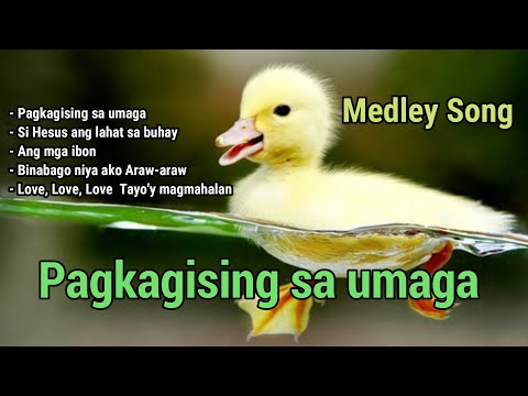 Pagkagising sa Umaga Hesus ikaw ang nasa isip - Lyrics | Medley Song #pagkagisingsaumaga