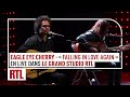 Eagle Eye Cherry - Falling In Love Again (Live) Le Grand Studio RTL