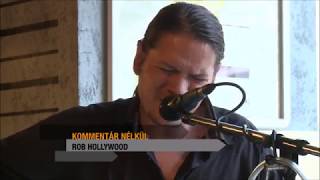 Rob Hollywood - Ten Men Workin (Neil Young cover) Live TVZeg 2016