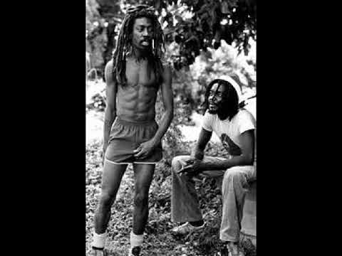 Bunny Wailer w/Jimmy Cliff, Peter Tosh. Youth Consciousness Fest 12/25/82, Remastered improved sound