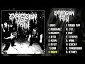 Expression Of Pain S T LP FULL ALBUM 2021 Grindcore