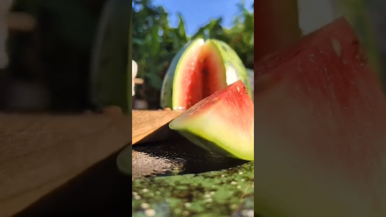 Watermelon juice is a cool, sweet drink made by blending fresh watermelon. #watermelonjuice