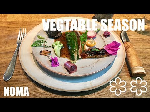 Noma 2.0 • Vegetable Season 2019 • Copenhagen, Denmark