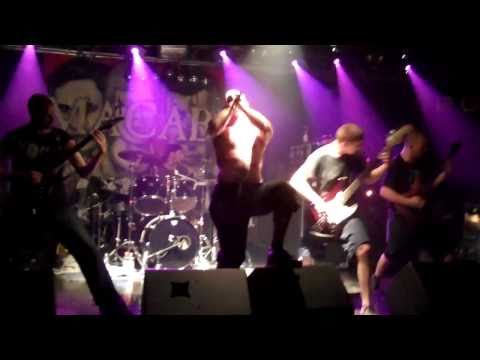 Waking The Cadaver-Blood Splattered Satisfaction/WTC/Beyond God Live In Austria (HD)