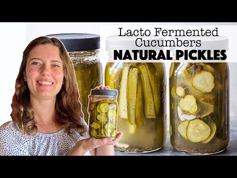 Natural Pickles - Lacto Fermented Cucumbers