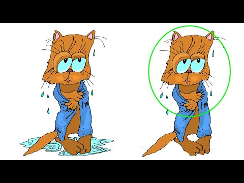 How to Sign Dampish in Auslan