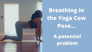 Yoga Cow Pose and Breathing in Extension