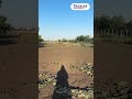 Видео превью