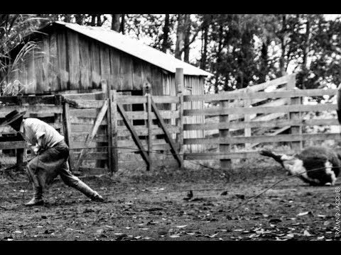 El Dia De Yerra - Guto Gonzalez
