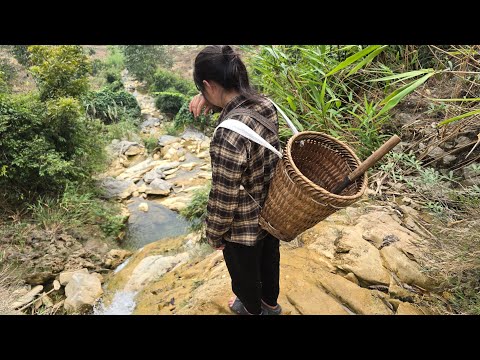 Desperate Single Mother Sung Luyen on a High Water Tower – CEO James Has Someone Else #sungluyen'lif