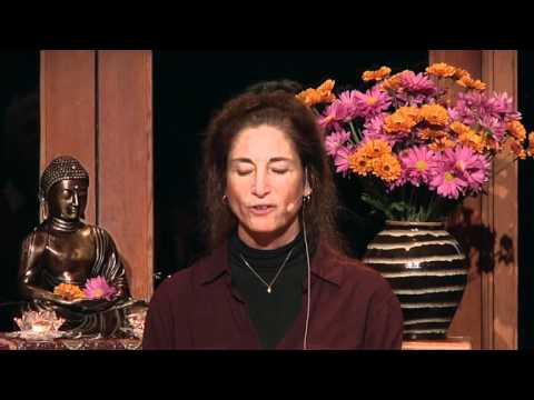 Tara Talks: Our Ideas are not Truth - Tara Brach