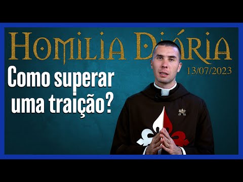 Daily Homily I How to Overcome Betrayal? I Fr. Rodrigo Fujiyama (July 13, 2023)