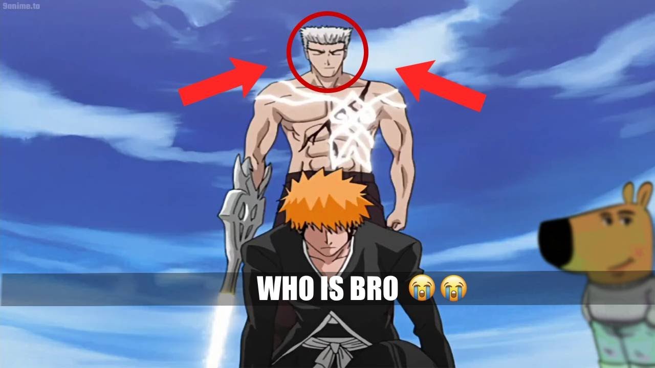 The Bleach Filler Arc EVERBODY HATED
