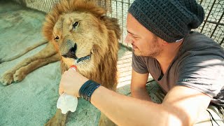 Everything is Possible - Leo Aberer (Official Video)