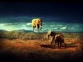 Don't panic- coldplay- (subtitulado).wmv 